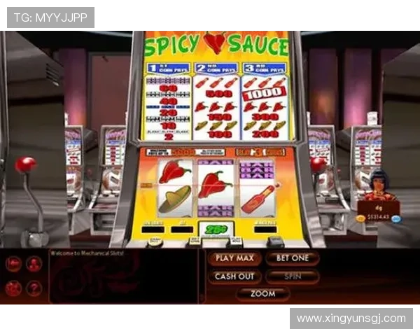 不同类型角子老虎机的特色与玩法差异详尽比较