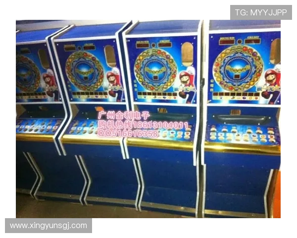 官方老虎机平台正规授权，保障玩家资金安全与游戏公正性