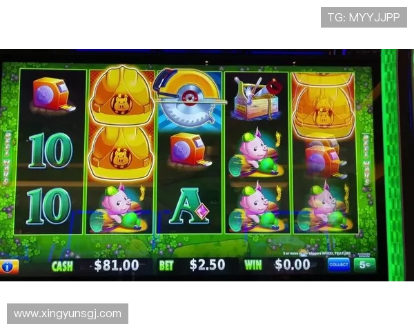 专业推荐老虎机电子网站大全：满足不同玩家需求的多样化线上老虎机平台指南