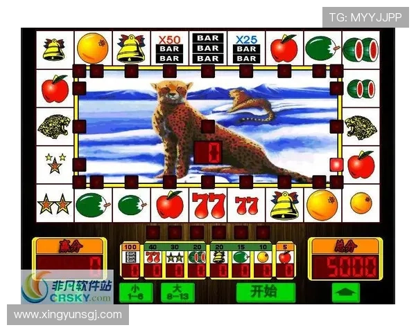 单机水果机老虎机游戏免费下载让你随时随地享受刺激的博彩体验