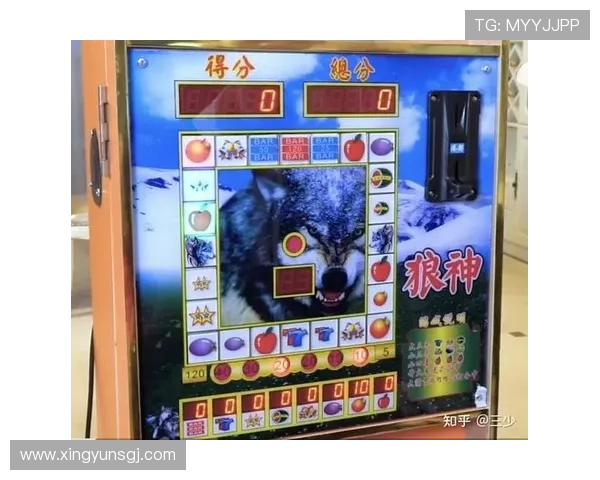 揭秘老虎机赢了之后的最佳应对策略帮助你持续盈利不再担心输钱