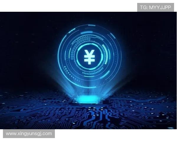 昂宝电子IPO申购指南及投资策略建议助力投资者把握最佳买入时机